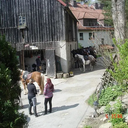 Auf Einem Reiterhof Weißenstadt