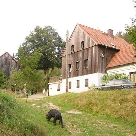 公寓 Auf Einem Reiterhof Weißenstadt